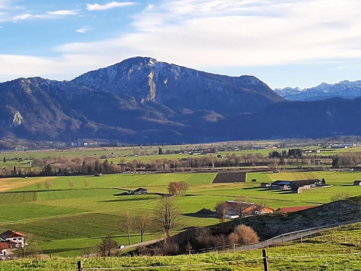 Hotel Alpspitz B&B Grainau Kültér fotó