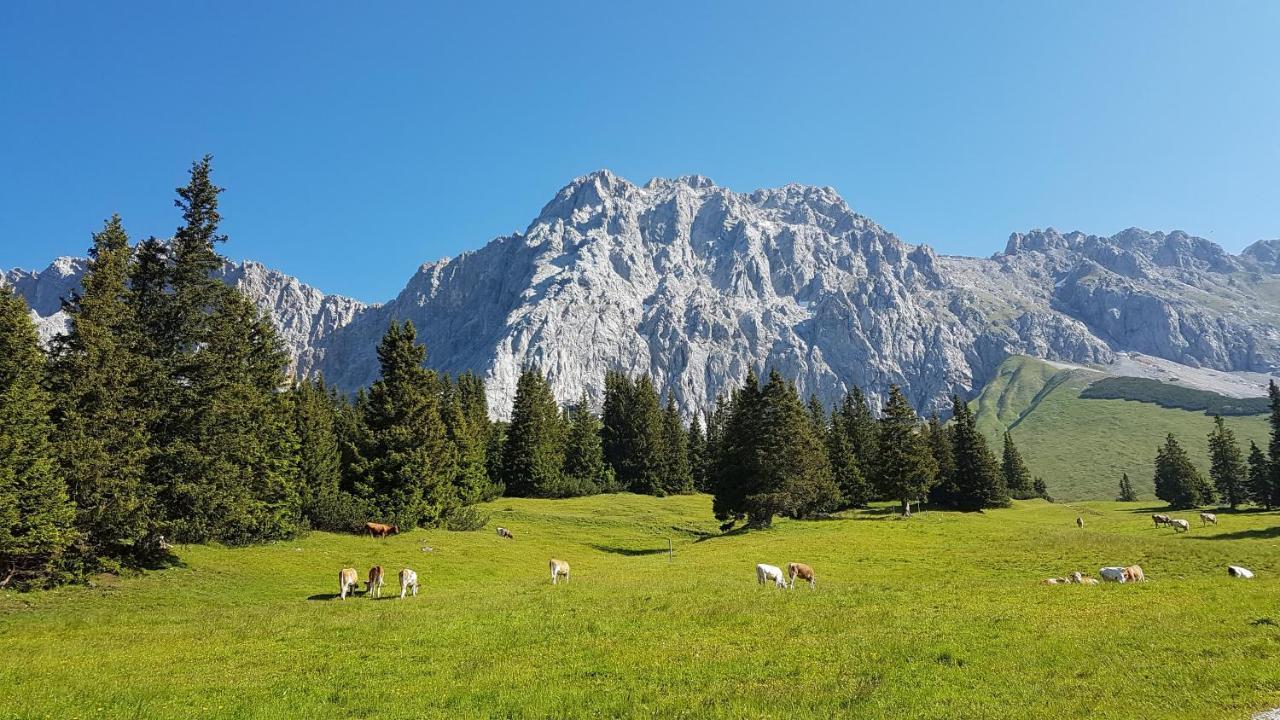 Hotel Alpspitz B&B Grainau Kültér fotó